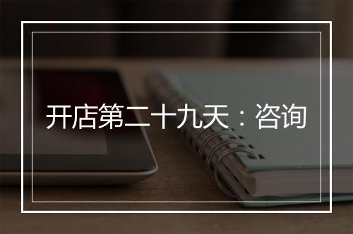 开店第二十九天：咨询
