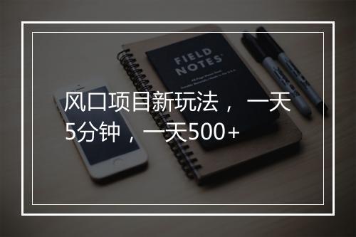 风口项目新玩法， 一天5分钟，一天500+
