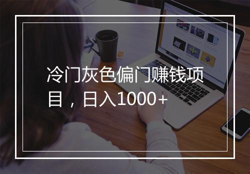冷门灰色偏门赚钱项目，日入1000+
