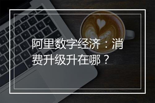 阿里数字经济：消费升级升在哪？