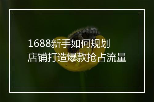 1688新手如何规划店铺打造爆款抢占流量