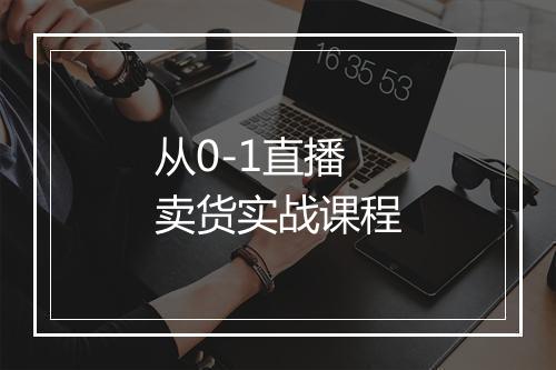 从0-1直播卖货实战课程