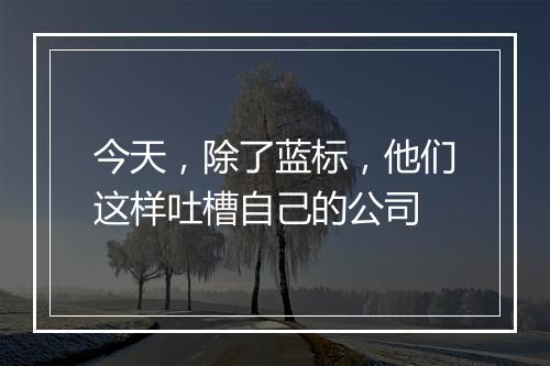 今天，除了蓝标，他们这样吐槽自己的公司