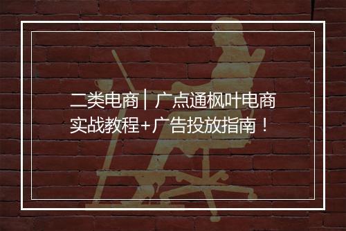 二类电商 ▏广点通枫叶电商实战教程+广告投放指南！