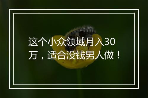 这个小众领域月入30万，适合没钱男人做！