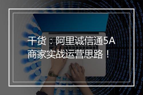 干货：阿里诚信通5A商家实战运营思路！