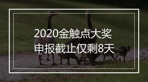 2020金触点大奖申报截止仅剩8天