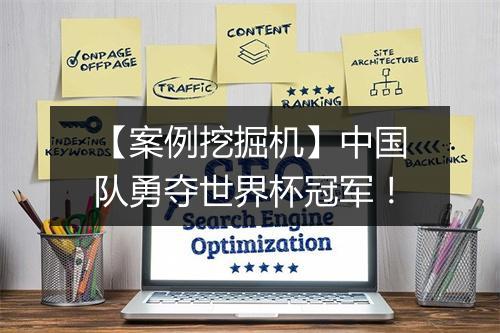【案例挖掘机】中国队勇夺世界杯冠军！