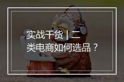 实战干货 | 二类电商如何选品？