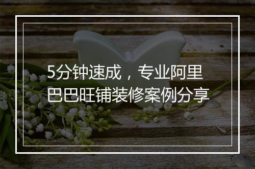 5分钟速成，专业阿里巴巴旺铺装修案例分享