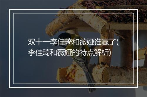 双十一李佳琦和薇娅谁赢了(李佳琦和薇娅的特点解析)