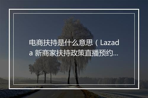 电商扶持是什么意思（Lazada 新商家扶持政策直播预约）
