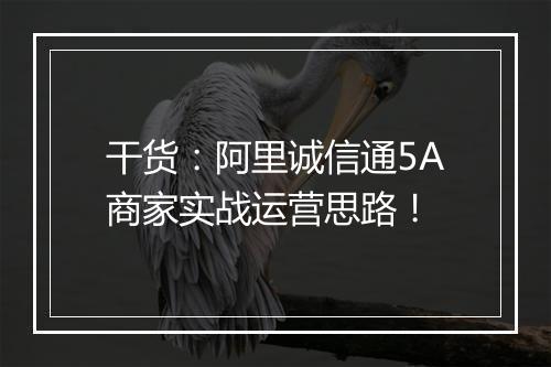 干货：阿里诚信通5A商家实战运营思路！