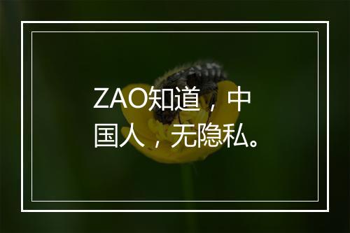 ZAO知道，中国人，无隐私。