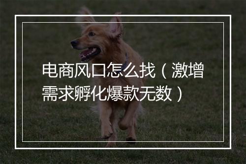 电商风口怎么找（激增需求孵化爆款无数）