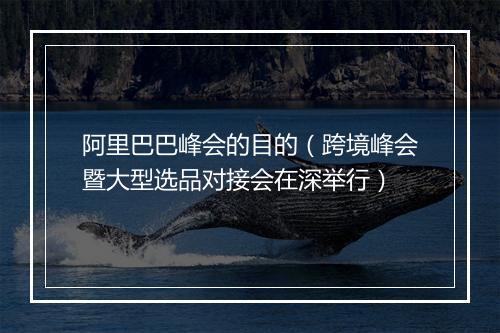 阿里巴巴峰会的目的（跨境峰会暨大型选品对接会在深举行）