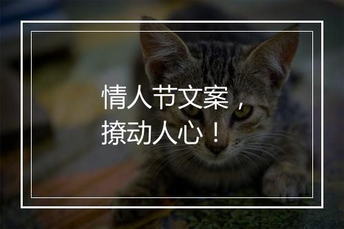 情人节文案，撩动人心！
