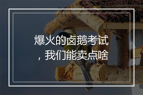 爆火的卤鹅考试，我们能卖点啥