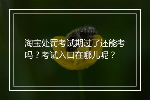 淘宝处罚考试期过了还能考吗？考试入口在哪儿呢？