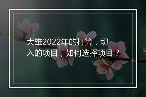 大雄2022年的打算，切入的项目，如何选择项目？