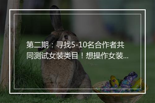 第二期：寻找5-10名合作者共同测试女装类目！想操作女装类目的看，赶双12和年终大促！