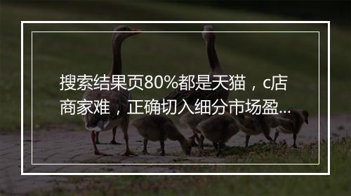 搜索结果页80%都是天猫，c店商家难，正确切入细分市场盈利