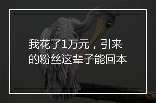 我花了1万元，引来的粉丝这辈子能回本