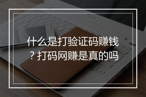 什么是打验证码赚钱？打码网赚是真的吗