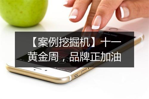 【案例挖掘机】十一黄金周，品牌正加油