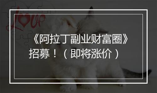 《阿拉丁副业财富圈》招募！（即将涨价）