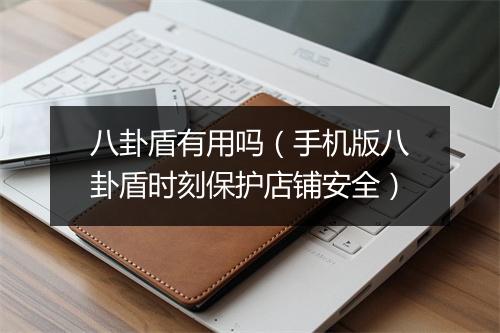 八卦盾有用吗（手机版八卦盾时刻保护店铺安全）