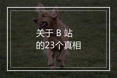 关于 B 站的23个真相