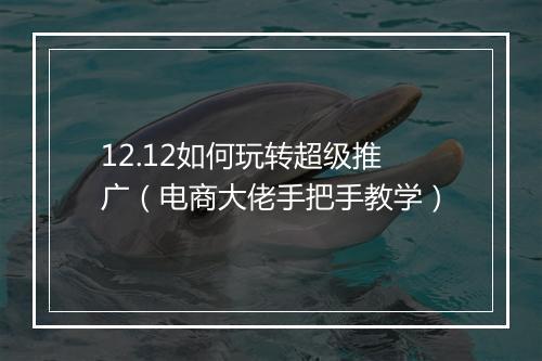12.12如何玩转超级推广（电商大佬手把手教学）