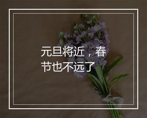元旦将近，春节也不远了