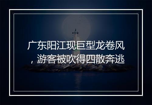 广东阳江现巨型龙卷风，游客被吹得四散奔逃