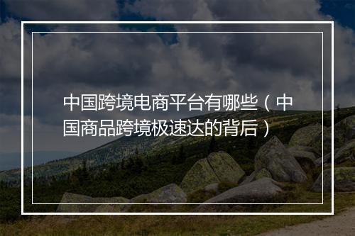 中国跨境电商平台有哪些（中国商品跨境极速达的背后）