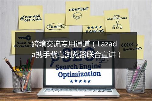 跨境交流专用通道（Lazada携手紫鸟浏览器联合宣讲）