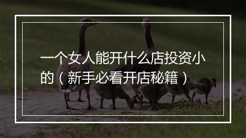 一个女人能开什么店投资小的（新手必看开店秘籍）