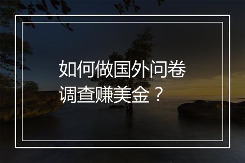如何做国外问卷调查赚美金？