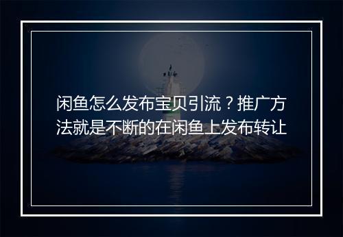 闲鱼怎么发布宝贝引流？推广方法就是不断的在闲鱼上发布转让