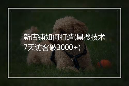 新店铺如何打造(黑搜技术7天访客破3000+)