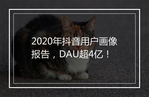 2020年抖音用户画像报告，DAU超4亿！