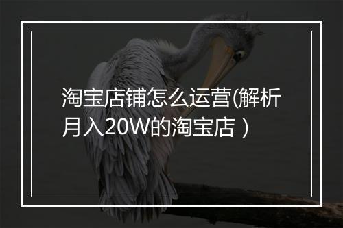 淘宝店铺怎么运营(解析月入20W的淘宝店）