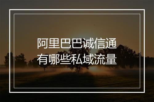 阿里巴巴诚信通有哪些私域流量
