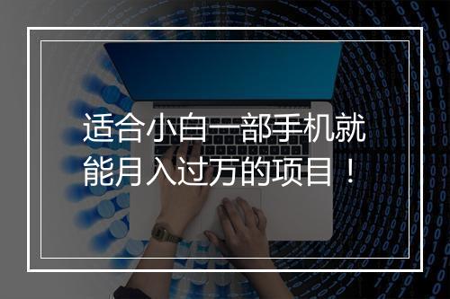 适合小白一部手机就能月入过万的项目！