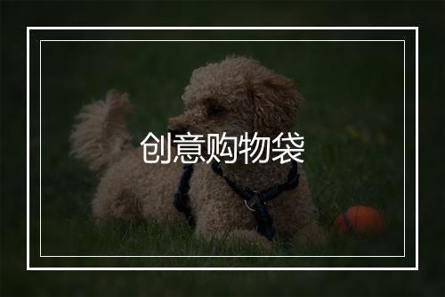 创意购物袋
