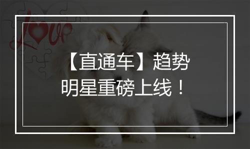 【直通车】趋势明星重磅上线！