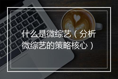 什么是微综艺（分析微综艺的策略核心）