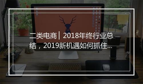 二类电商 ▏2018年终行业总结，2019新机遇如何抓住？