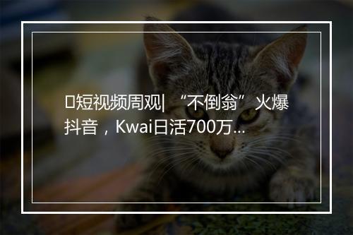 ​短视频周观| “不倒翁”火爆抖音，Kwai日活700万，成都短视频联盟成立